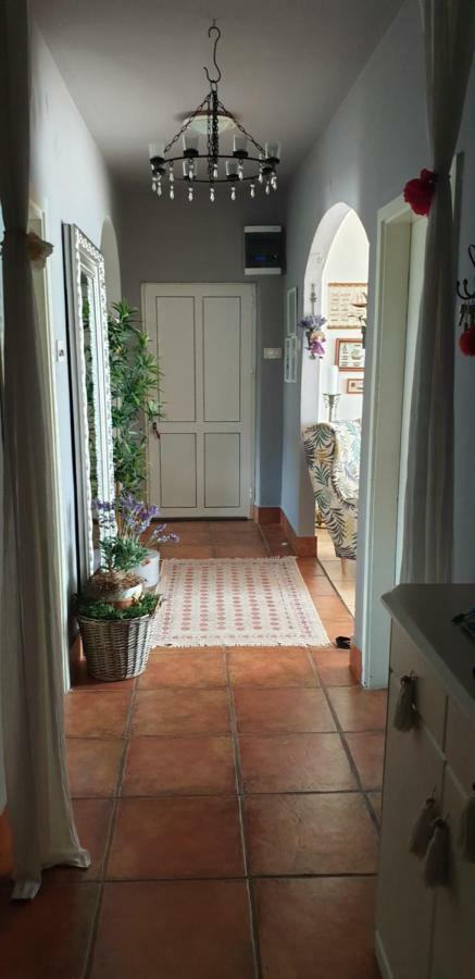 Apartman Felice Starigrad Exterior photo